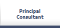 Principal
Consultant